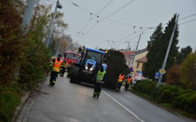 Stavění vánočního stromu a výzdoba kolem něj